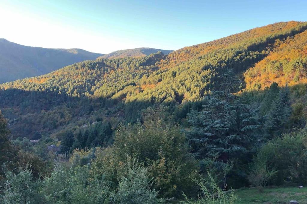 Maison Rurale Au Coeur Des Cevennes Ardechoises Dompnac Exterior foto